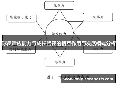 球员适应能力与成长路径的相互作用与发展模式分析