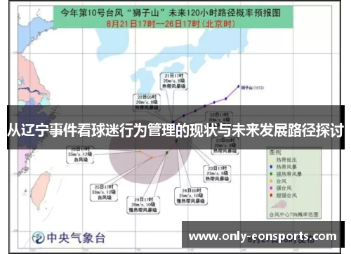 从辽宁事件看球迷行为管理的现状与未来发展路径探讨