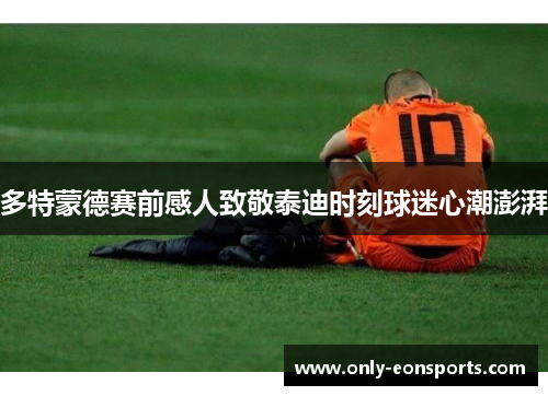 多特蒙德赛前感人致敬泰迪时刻球迷心潮澎湃