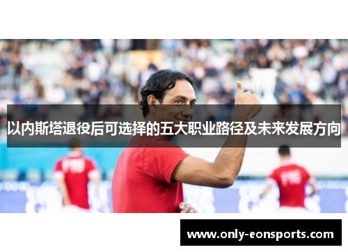 以内斯塔退役后可选择的五大职业路径及未来发展方向