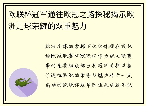 欧联杯冠军通往欧冠之路探秘揭示欧洲足球荣耀的双重魅力 欧联杯冠军通往欧冠之路探秘揭示欧洲足球荣耀的双重魅力
